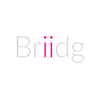 Briidg