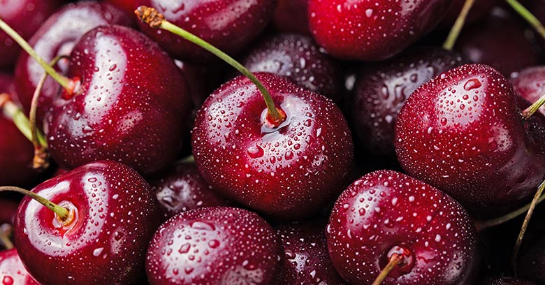 Exporting Food Products from the EU to Vietnam: A Comprehensive Guide