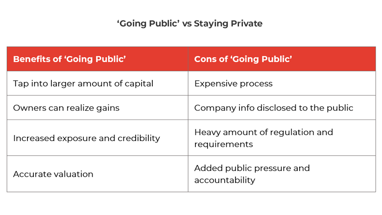 Table showing pros and cons of going public